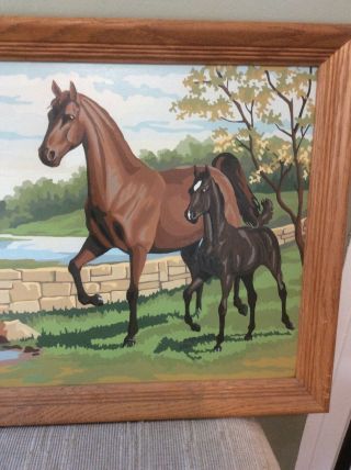 VINTAGE PAINT BY NUMBERS FRAMED HORSES 16” X 20” 3