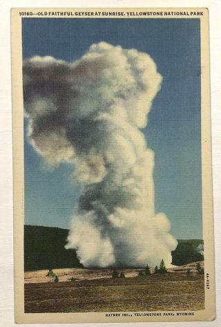 Old Faithful Geyser At Sunrise Yellowstone National Park Vintage Postcard