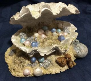 Vintage Aquarium Decoration Clam Shell With Pearls.