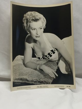 Vintage 1956 Black And White Photo Of Deborah Kerr In Tea And Sympathy 56/391