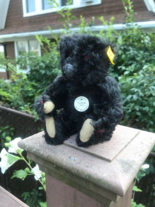 Vintage Steiff Black Mohair Teddy Bear