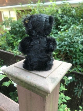 Vintage Steiff Black Mohair Teddy Bear 6