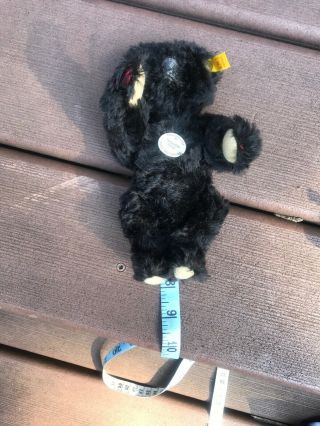Vintage Steiff Black Mohair Teddy Bear 7