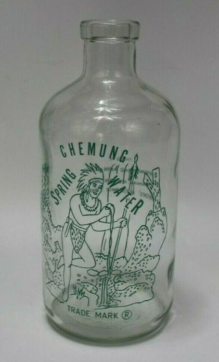 Vintage Chemung Spring Water Bottle 1/2 Gallon Jug Green Native Graphic