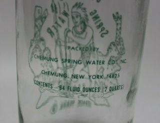 Vintage Chemung Spring Water Bottle 1/2 Gallon Jug Green Native Graphic 3