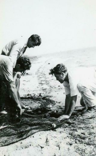 Zz442 Vtg Photo Three Men Fishing With A Net,  Southhampton,  Long Island C 1949