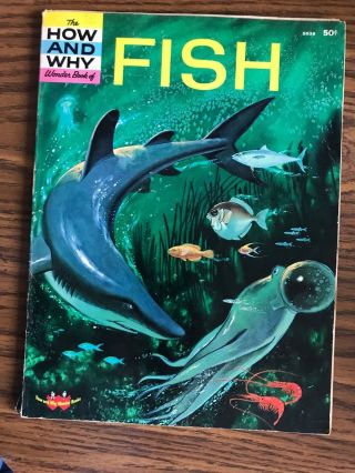 Vintage 1963 The How And Why Wonder Book Of Fish