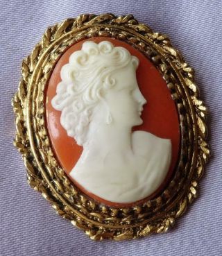 Vintage Large Classical Lady Lucite Cameo Brooch