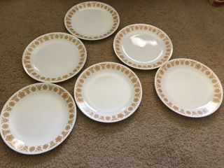 6 Butterfly Gold Dinner Plates 10.  25” Vintage Corelle By Corning