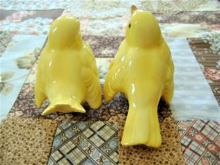 Vintage Goebel W Germany Canary Finch Yellow Bird Chick Pair Must L@@K 5