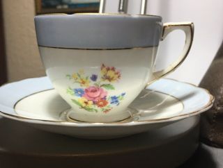 Vintage Tea Cup & Saucer Rosina Queen Pink Roses Blue Band