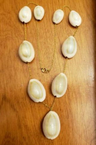 Vintage Cowrie Shell Choker Necklace On 1/20 12k Gold Filled Chain
