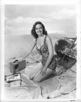 Donna Reed Vintage Glamour Pin Up Bathing Suit Mgm Photo Stamped 1945