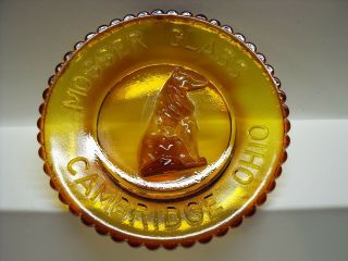 Vintage Mosser Amber Glass Cambridge Oh Collie Dog 3 D Effect 3.  5 " Mini Plate