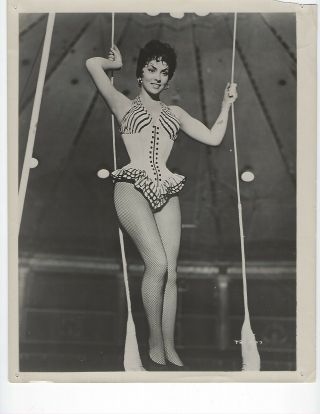 Vintage B & W Photo Sultry Gina Lollobrigida " Trapeeze " From 1956