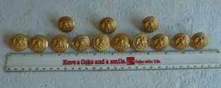Vintage 13 Us Navy Brass Buttons 1 " In Diameter Waterbury
