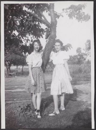 F581 - 2 Ladies In Saddle Shoes By Tree - Old/vintage Photo Snapshot