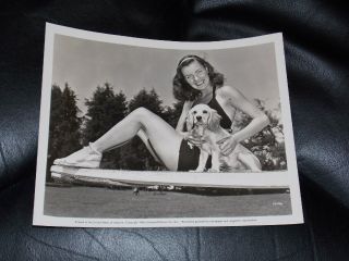 Ella Raines Vintage 8x10 Pinup Photo Taken At Universal In 1944 W/ Her Dog
