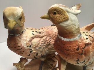 Vintage Inarco Ring Necked Pheasants 1963