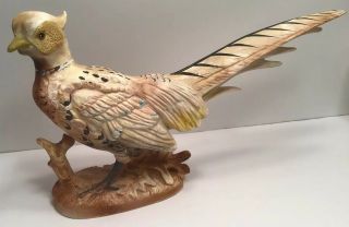 Vintage Inarco Ring Necked Pheasants 1963 4
