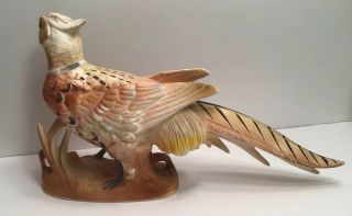 Vintage Inarco Ring Necked Pheasants 1963 5
