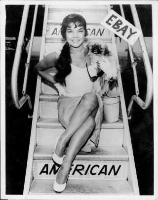 Belly Dancer/actress Nejla Ates Vintage Leggy Photo Flying American Airlines