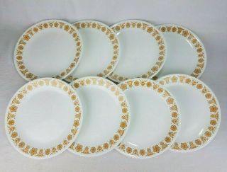 Vintage Set Of 8 - Corelle 10 1/4 " - Butterfly Gold Dinner Plates - Corning Ware