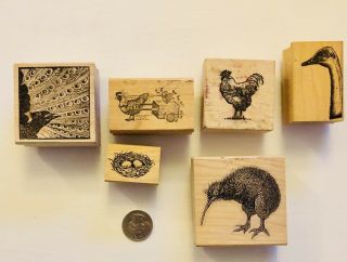 6 Vintage Rubber Stamps : Chickens,  Nest,  Ostrich,  Kiwi,  Peacock