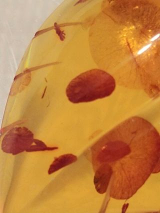 Vintage Carved AMBER Leaf Pendant 1/20 12k GF Bale Honey Colored 8.  25 grams 3