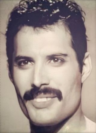 Queen Freddie Mercury Sexy Vintage 8x11 Glossy Photo Print Rp