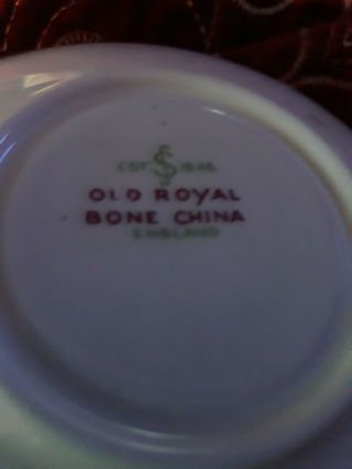 Vintage Old Royal Bone China Tea Cup & Saucer.  England 3