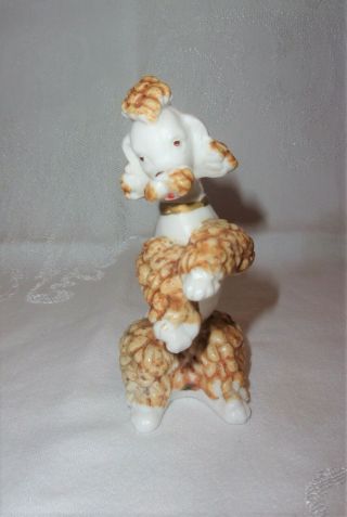 Vintage Inarco Magic Mitzi Weather Wise Color Changing Poodle E - 215?