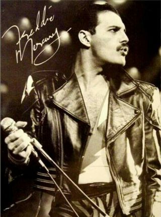 Queen Freddie Mercury Sexy Vintage Concert 8x11 Glossy Signed Photo Print Rp