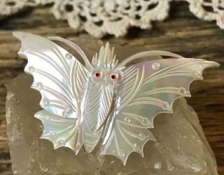 Vintage Mother Of Pearl Butterfly Pin Brooch