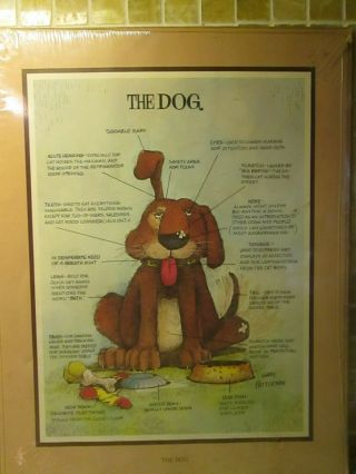 Humorous Funny Gary Patterson Vintage Print The Dog 11 " X 14 "