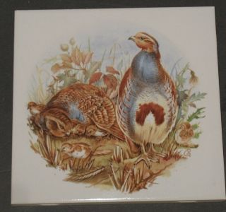 Vintage Woodland Bird Family 6 " Porcelain Accent Tile Usa Estate