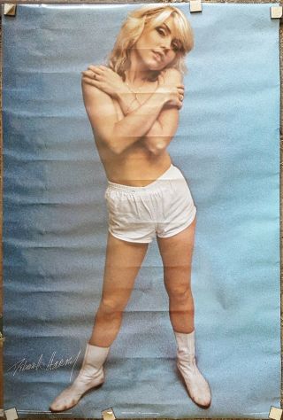 Blondie Debbie Harry 1979 Poster Approx 24 " X36 " / Vintage