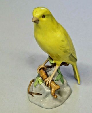 Vintage Spode Copelands China England Porcelain Yellow Canary Bird 5 3/4 " Tall