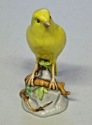 Vintage Spode Copelands China England Porcelain Yellow Canary Bird 5 3/4 