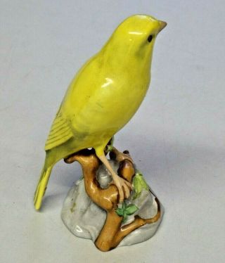 Vintage Spode Copelands China England Porcelain Yellow Canary Bird 5 3/4 