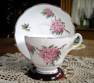 Vintage Regency Bone China England Tea Cup & Saucer
