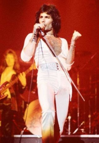 Freddie Mercury Queen Sexy Concert Vintage Photo 8 X11 Print Young