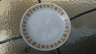 Vtg Corelle Butterfly Gold Dinner Plate 10 " Dish Pyrex Corning