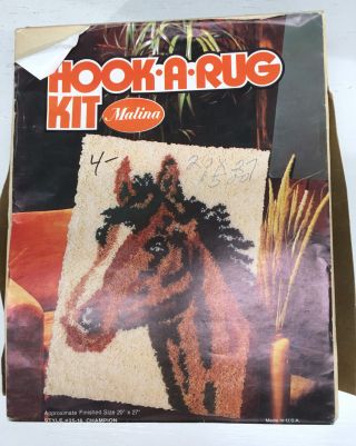 Vintage Hook - A - Rug Champion Horse Malina Rug Kit 20 X 27