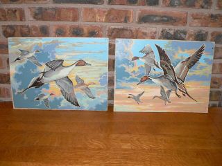 Vintage 16 " X 12 " Finished Paint - By - Number Pictures Ducks In Flight