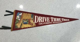 Vintage Felt Pennant From The California Redwood Drive Thru Tree Travel Souvenir