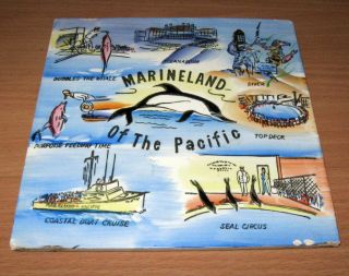 Vintage Marineland Of The Pacific Souvenir 6 " X 6 " Ceramic Tile Trivet