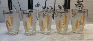 5 Mid - Century Modern Vintage Libbey Frosted Gold Leaf 10 Oz Tumbler Glasses