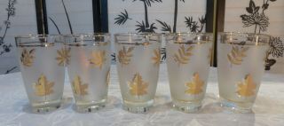 5 Mid - Century Modern Vintage Libbey Frosted Gold Leaf 10 Oz Tumbler Glasses 2