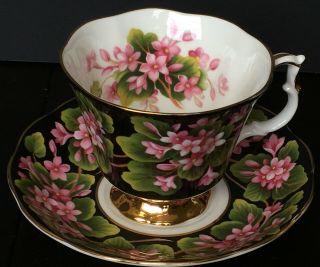 Vintage Royal Albert Provincial Flowers Mayflower Cup And Saucer